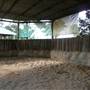 Lomar Park Stud