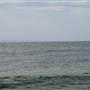 Long Reef Point