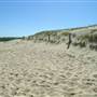 Long Reef Point
