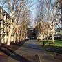 Macquarie University