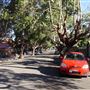 Marrickville Neighbourhood