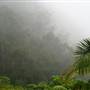 Mullumbimby Area