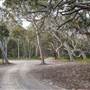 Murramarang National Park