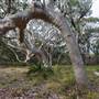 Murramarang National Park