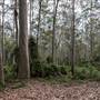 Murramarang National Park