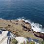 North Head