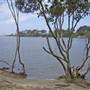 Old Bar Taree
