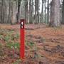 Olney State Forest
