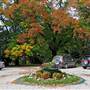 Orange and surrounds