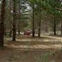 Newnes State Forest
