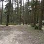 Newnes State Forest