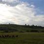 Menangle Area