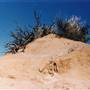 Milkengay Lake Sand Dunes