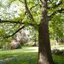 Milton Park Country House Hotel & Spa