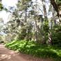 Milton Park Country House Hotel & Spa