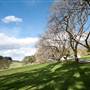 Milton Park Country House Hotel & Spa