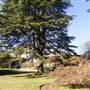 Milton Park Country House Hotel & Spa
