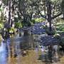 Minnamurra Falls