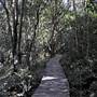 Minnamurra Falls