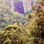 Minyon Falls - Nightcap National Park