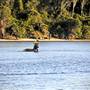 Moonee Beach