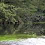 Moruya