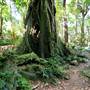 Mount Keira Scout Camp File 1