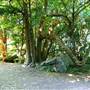 Mount Keira Scout Camp File 1
