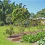 Private House - Port Macquarie