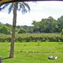 Private House - Port Macquarie