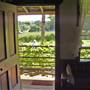 Private House - Port Macquarie