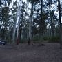 Murphy's Glen campground - Blue Mountains National Park
