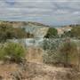 Queanbeyan Mine