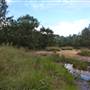 Navua Reserve - Grose River