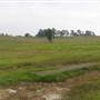 Riverstone Farmland & Eastern Creek