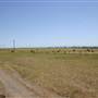 Riverstone Farmland & Eastern Creek