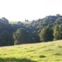 Rolling Hills - Southern Highlands