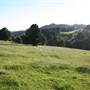 Rolling Hills - Southern Highlands