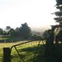 Rolling Hills - Southern Highlands