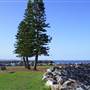 Port Macquarie Area
