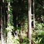 Port Macquarie Area