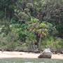 Portuguese Beach