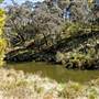 Tia Falls