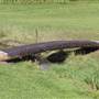 Walcha