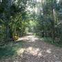 Stotts Island Nature Reserve
