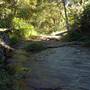 Tweed - McKenzie Property
