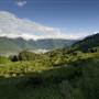 Tweed Valley 1 of 2