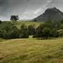 Tweed Valley 1 of 2