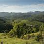 Tweed Valley 1 of 2