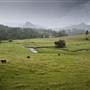 Tweed Valley 1 of 2